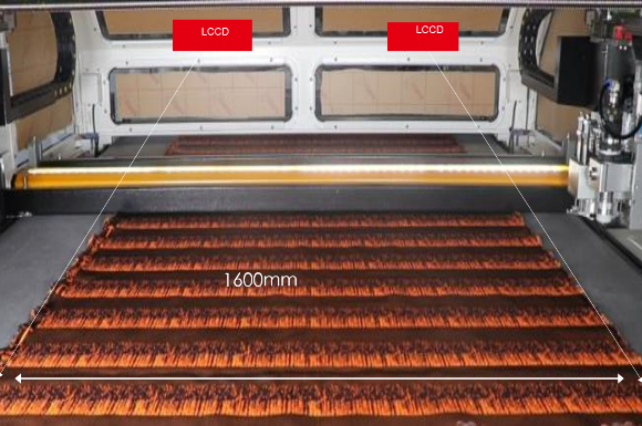 LCCD Linear Positioning System